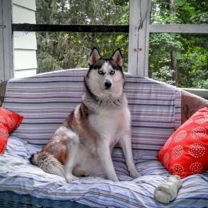 Meet your Posher, Kate